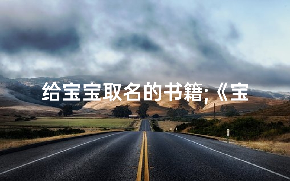 给宝宝取名的书籍;《宝宝起名宝典：精选书籍推荐指南》