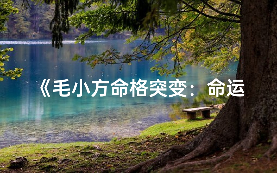 《毛小方命格突变：命运转折点》
