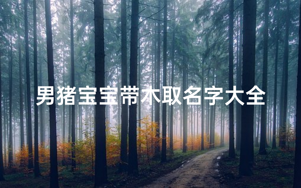 男猪宝宝带木取名字大全(猪年男生名字大全)