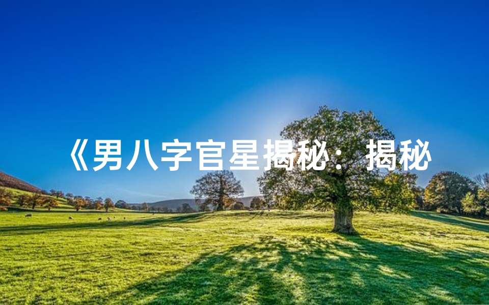 《男八字官星揭秘：揭秘命理中的权力象征》
