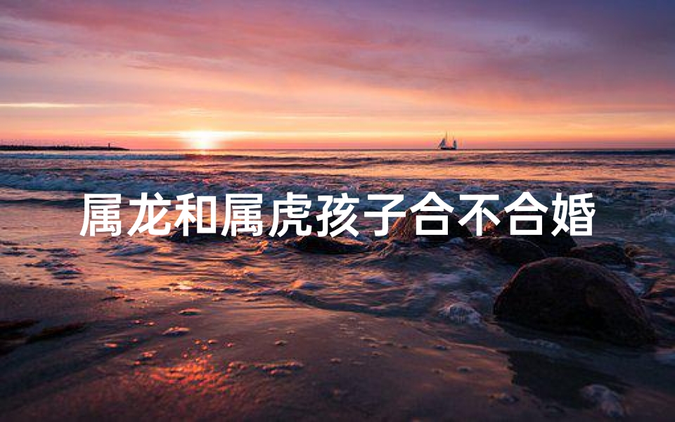 属龙和属虎孩子合不合婚—属龙和属虎要个属什么的孩子