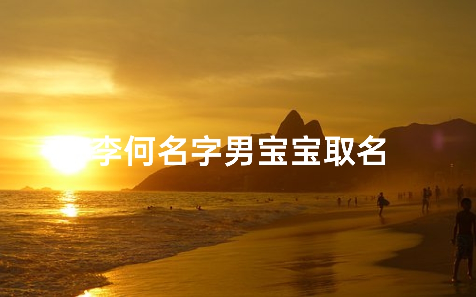 李何名字男宝宝取名
