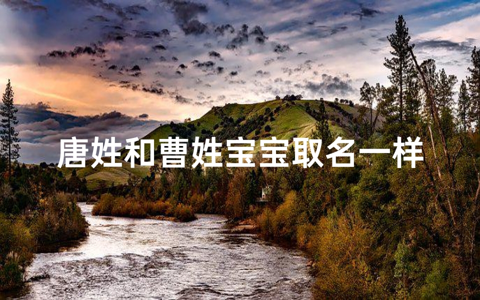 唐姓和曹姓宝宝取名一样吗(姓唐和姓唐的可以结婚么)