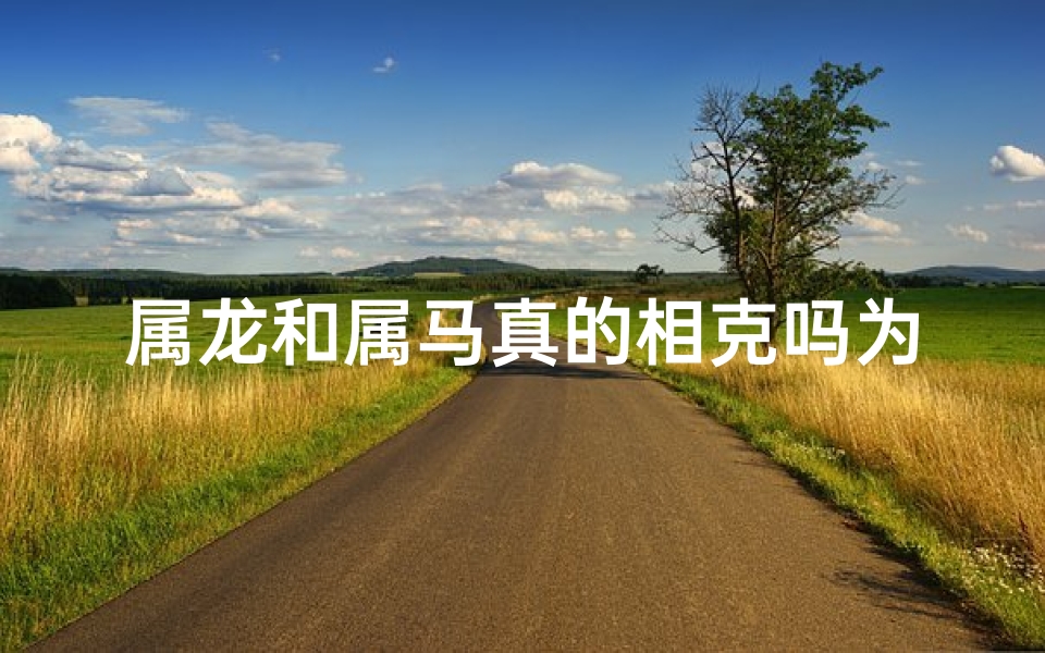 属龙和属马真的相克吗为什么