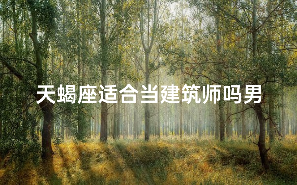 天蝎座适合当建筑师吗男生—天蝎男建筑师：神秘魅力与建筑艺术的完美融合