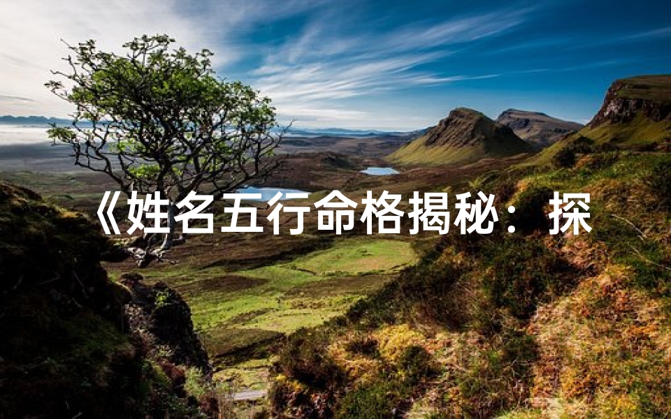 《姓名五行命格揭秘：探寻你的命运密码》