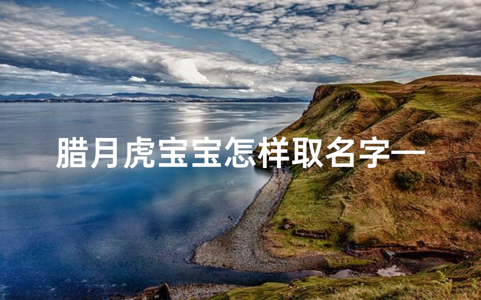 腊月虎宝宝怎样取名字—腊月虎宝宝取名：寓意吉祥的精选好名字