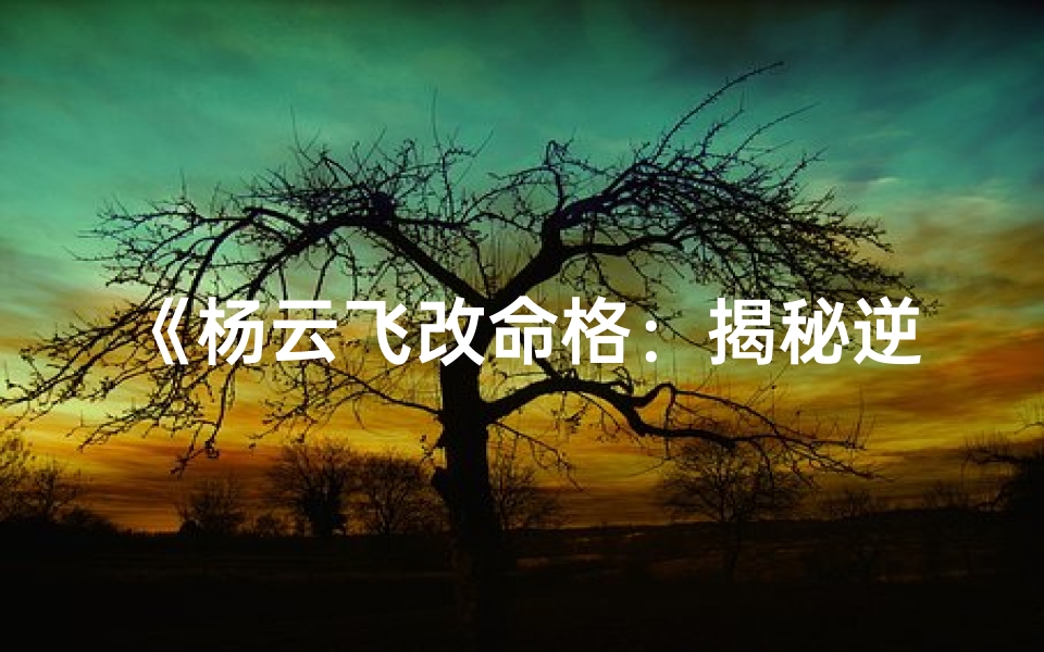 《杨云飞改命格：揭秘逆天改命的真相》