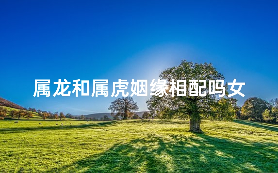 属龙和属虎姻缘相配吗女孩、龙虎缘定：属龙属虎姻缘美满配对