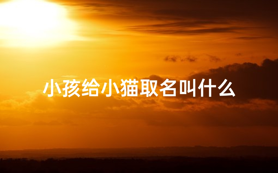 小孩给小猫取名叫什么