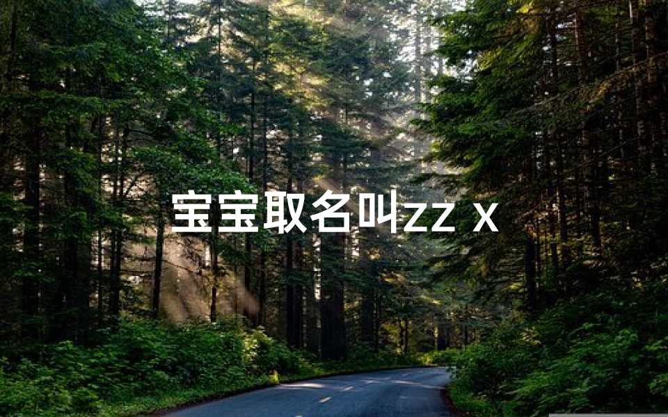 宝宝取名叫zz x