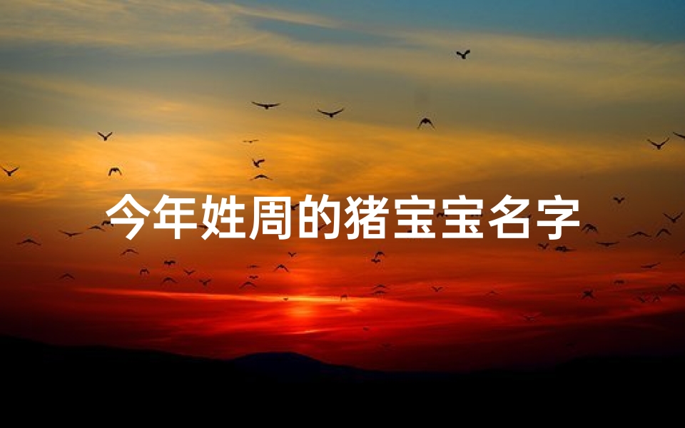 今年姓周的猪宝宝名字