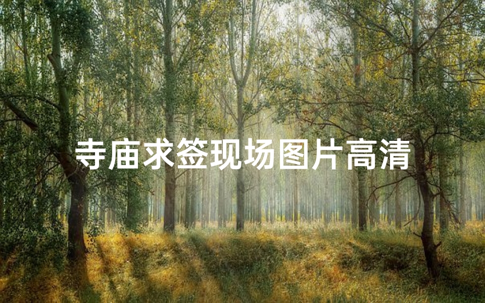 寺庙求签现场图片高清