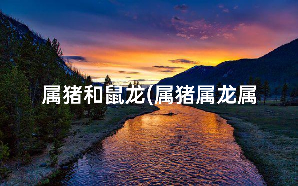 属猪和鼠龙(属猪属龙属鼠，揭秘最适合住的楼层)