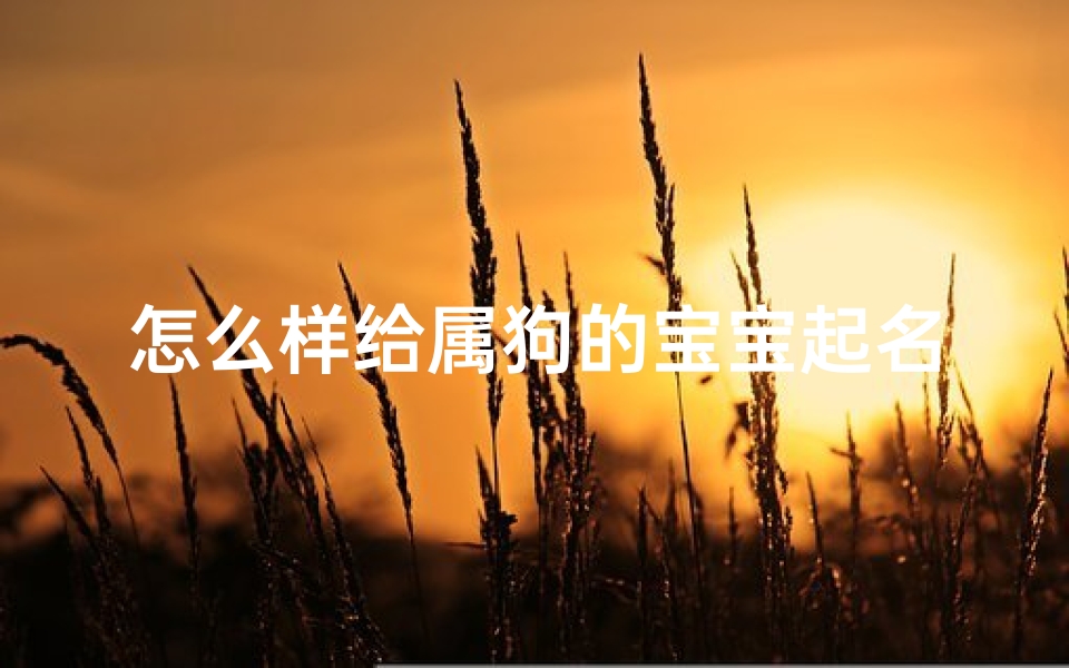 怎么样给属狗的宝宝起名(属狗起名字用什么字最好)
