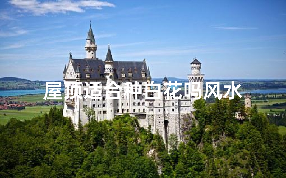 屋顶适合种白花吗风水
