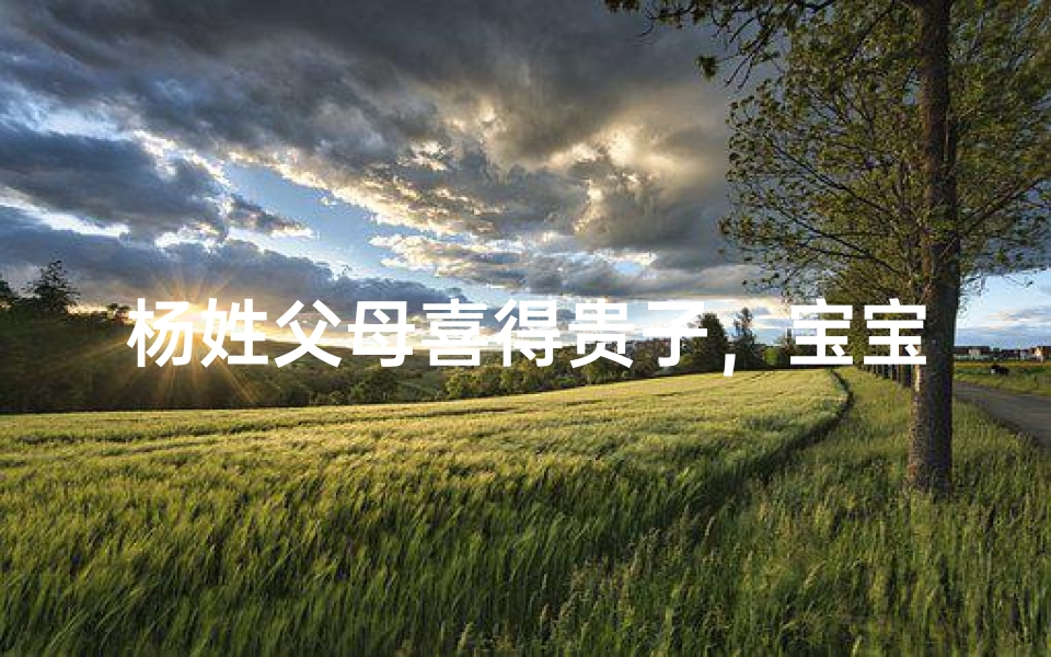 杨姓父母喜得贵子，宝宝取名有何妙招？