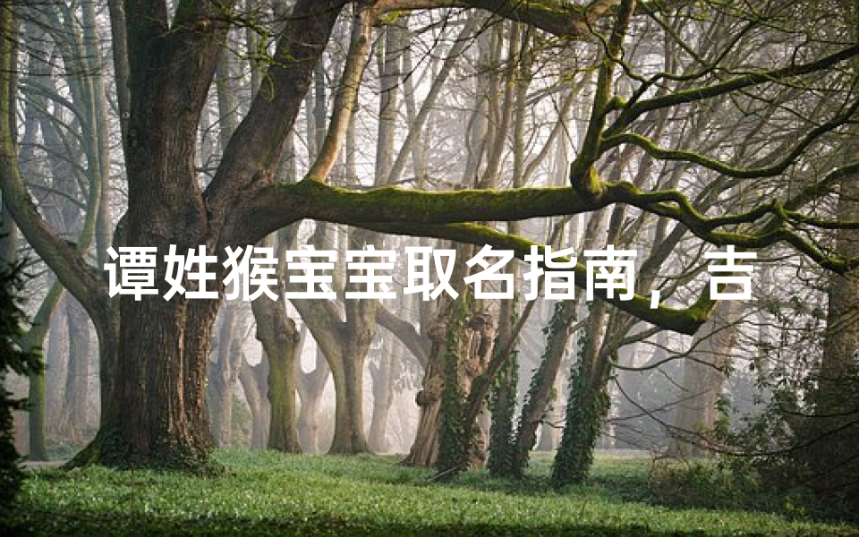 谭姓猴宝宝取名指南，吉祥如意好名精选