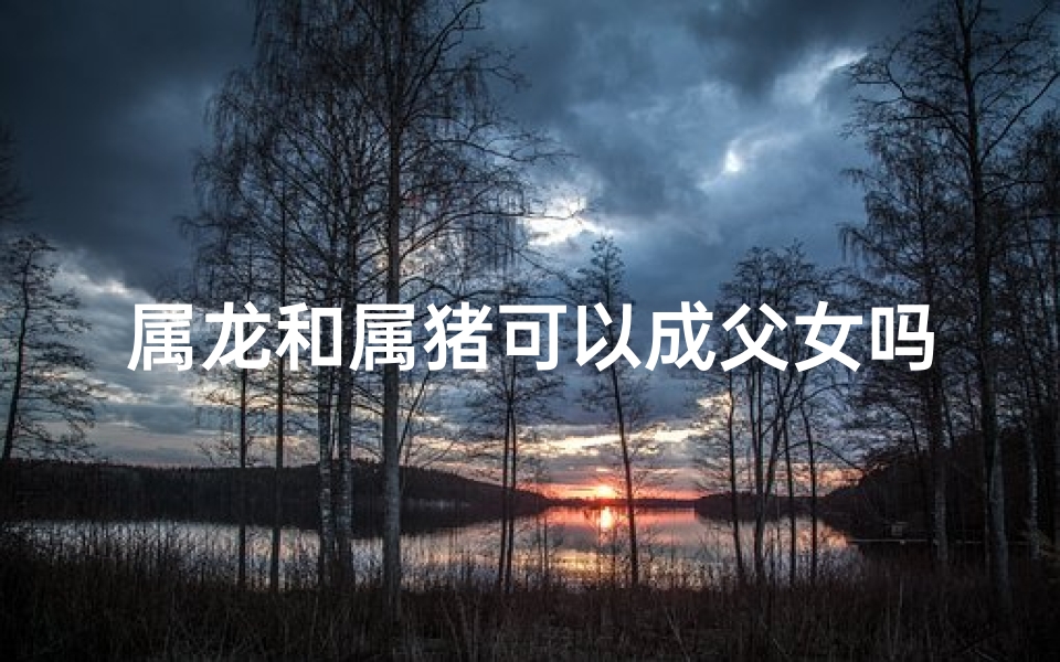 属龙和属猪可以成父女吗_属龙和属猪可以成父女吗好吗