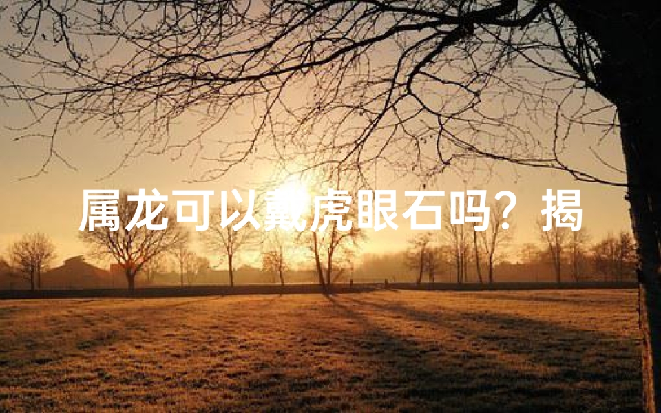 属龙可以戴虎眼石吗？揭秘宝石与生肖的奥秘