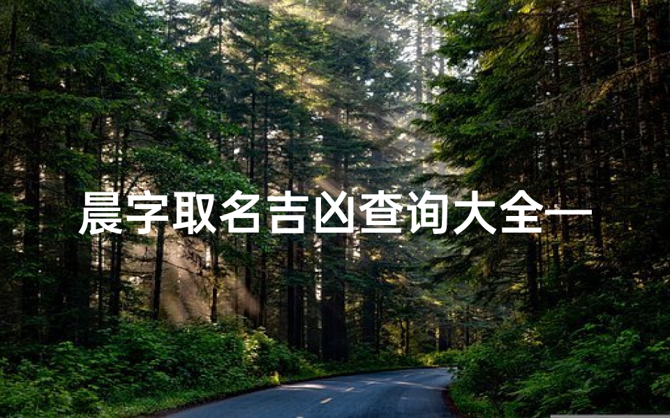 晨字取名吉凶查询大全—《晨光吉凶一网打尽：全方位取名吉凶查询大全》