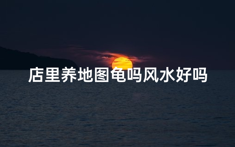 店里养地图龟吗风水好吗;养地图龟需要准备什么
