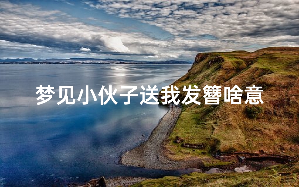 梦见小伙子送我发簪啥意思—梦见小伙子送我发簪啥意思啊