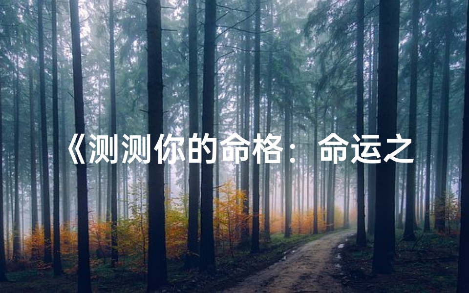 《测测你的命格：命运之轮为你转动》