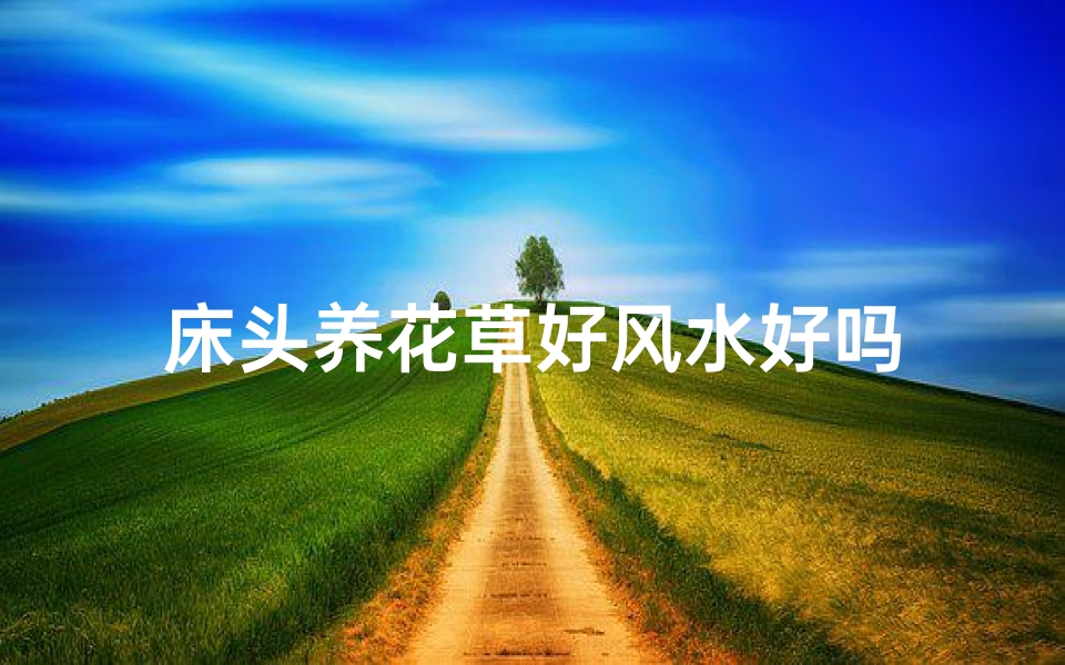 床头养花草好风水好吗