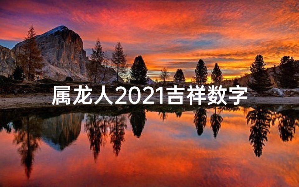 属龙人2021吉祥数字