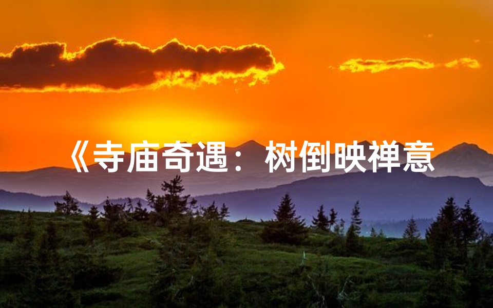 《寺庙奇遇：树倒映禅意，人生转瞬悟》
