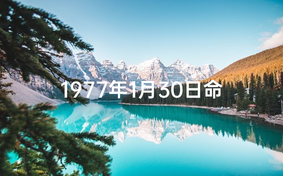 1977年1月30日命格_1977年1月30日命格：揭秘神秘生辰密码