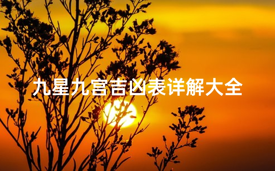 九星九宫吉凶表详解大全—九星与九宫的吉凶作用
