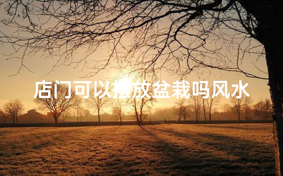 店门可以摆放盆栽吗风水好吗