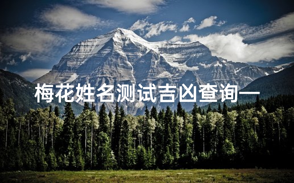 梅花姓名测试吉凶查询—梅花易数测姓名吉凶