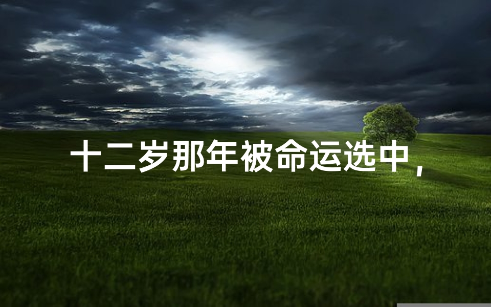 十二岁那年被命运选中，一生好运连连