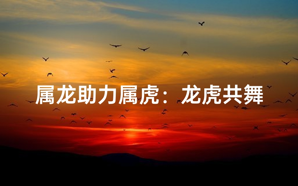 属龙助力属虎：龙虎共舞，共创辉煌