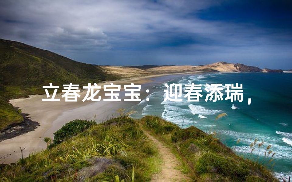 立春龙宝宝：迎春添瑞，吉祥如意新生儿