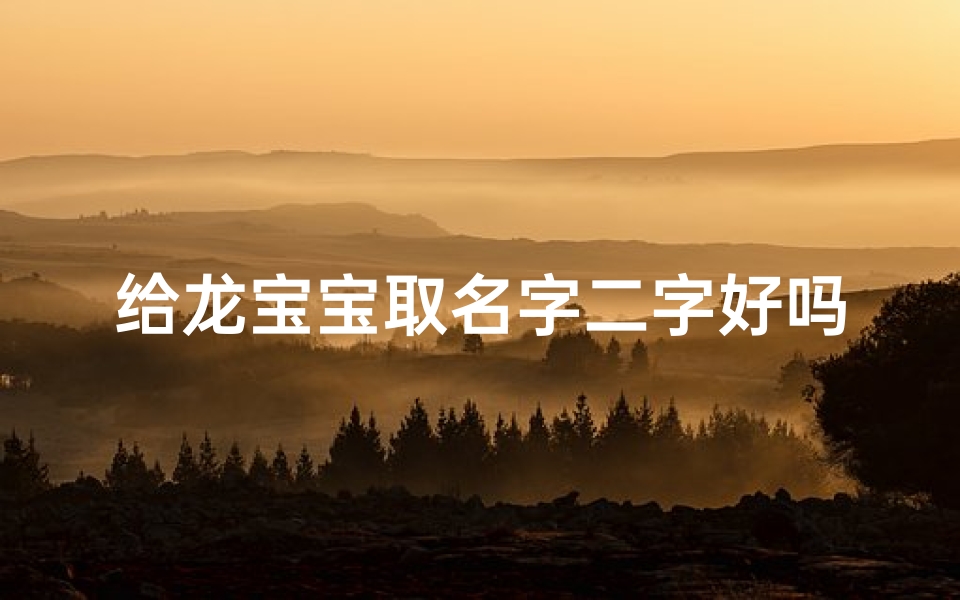 给龙宝宝取名字二字好吗