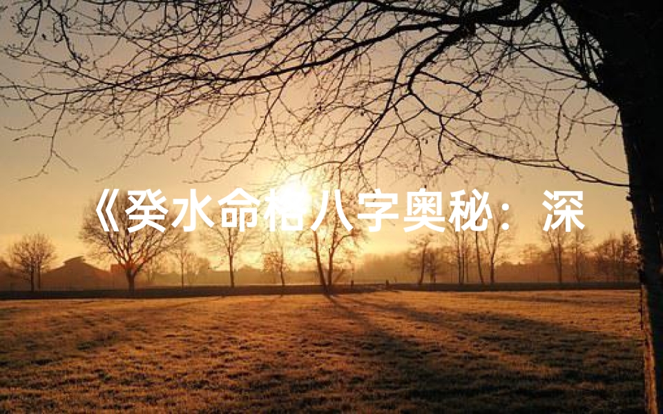 《癸水命格八字奥秘：深度解析人生运势》