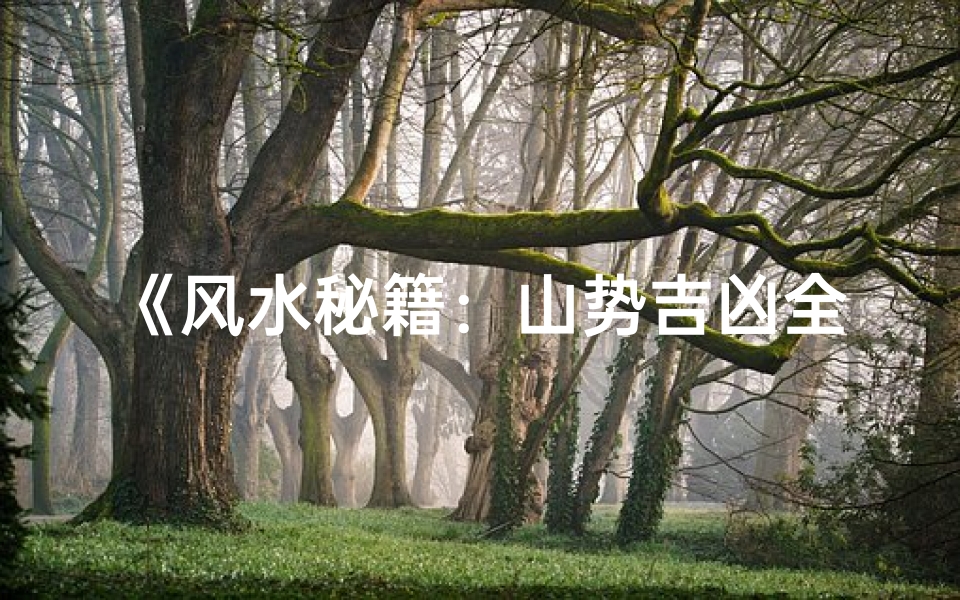 《风水秘籍：山势吉凶全解析视频教程》