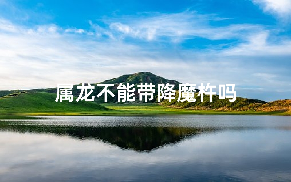 属龙不能带降魔杵吗