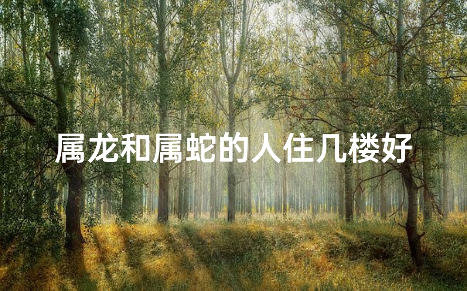属龙和属蛇的人住几楼好(属龙属蛇住几楼最吉利？揭秘楼层风水奥秘)