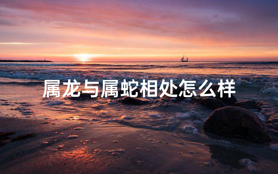 属龙与属蛇相处怎么样