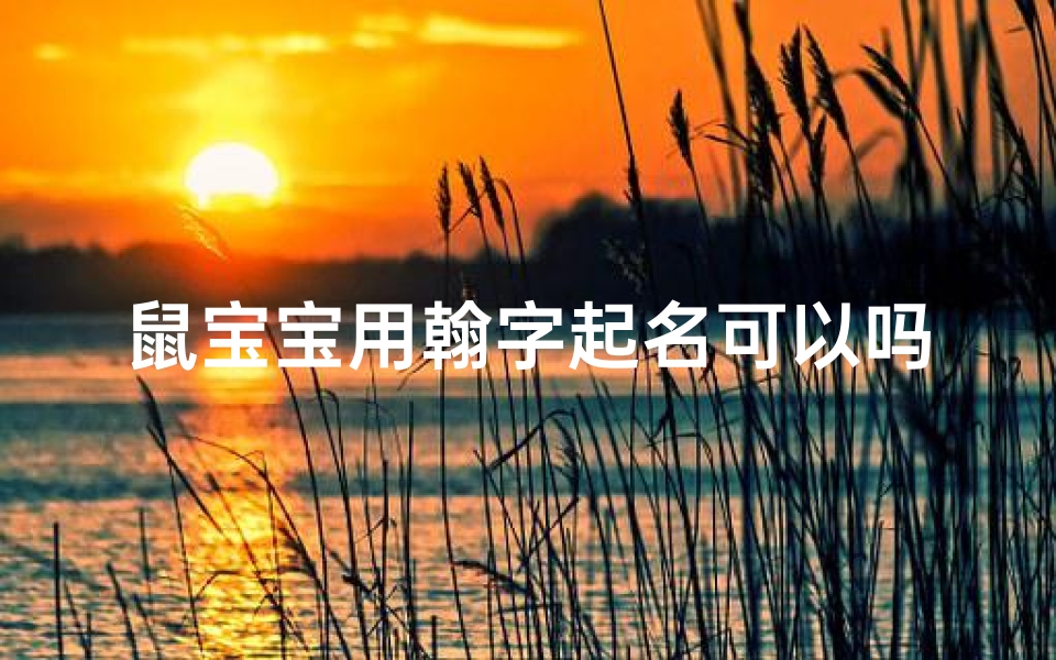 鼠宝宝用翰字起名可以吗,鼠宝宝翰字起名：寓意美好，传承文化之美