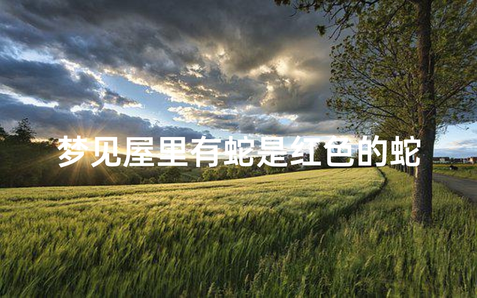 梦见屋里有蛇是红色的蛇(梦见屋里有蛇是红色的蛇什么意思)