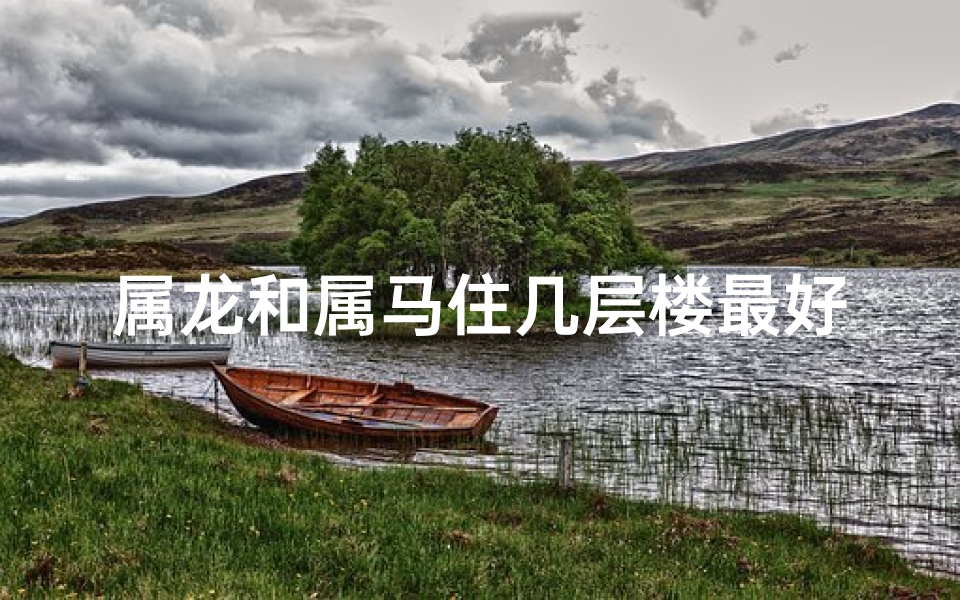 属龙和属马住几层楼最好