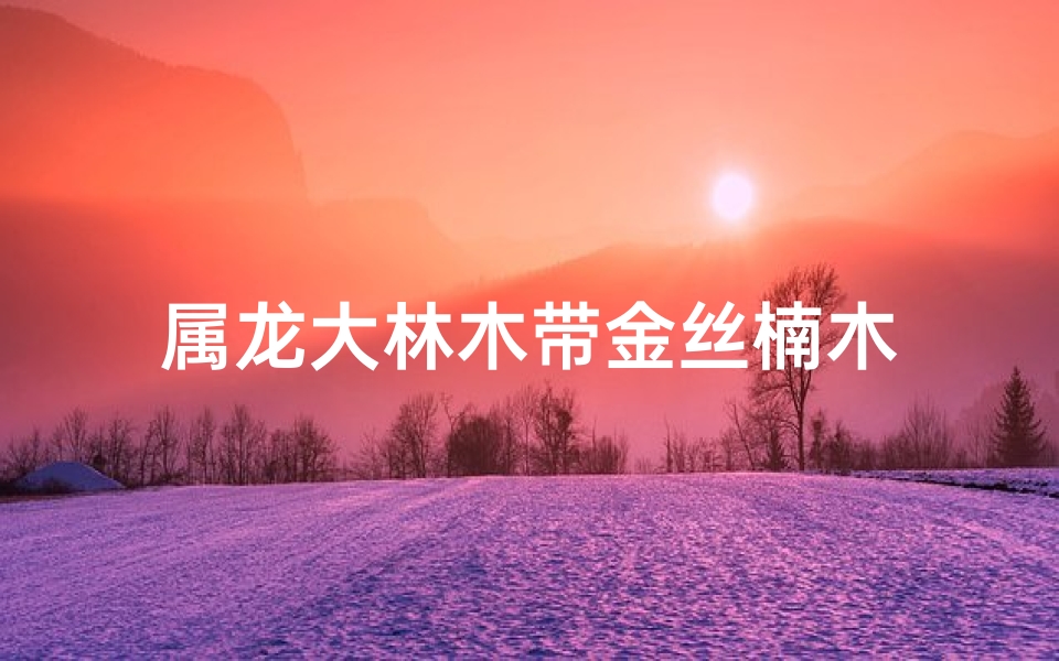 属龙大林木带金丝楠木