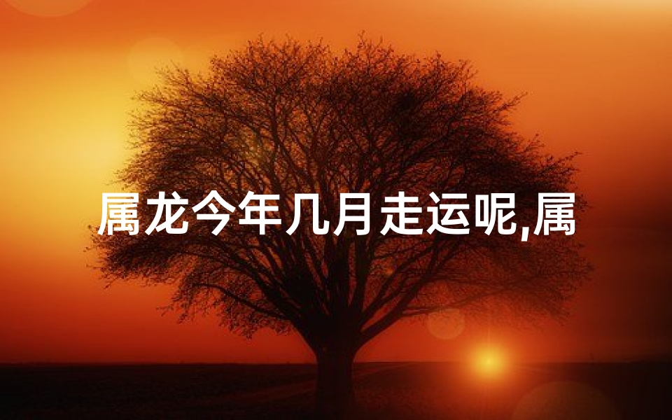 属龙今年几月走运呢,属龙今年哪个月运势最旺？