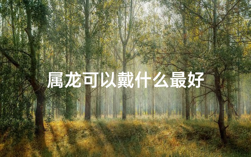 属龙可以戴什么最好